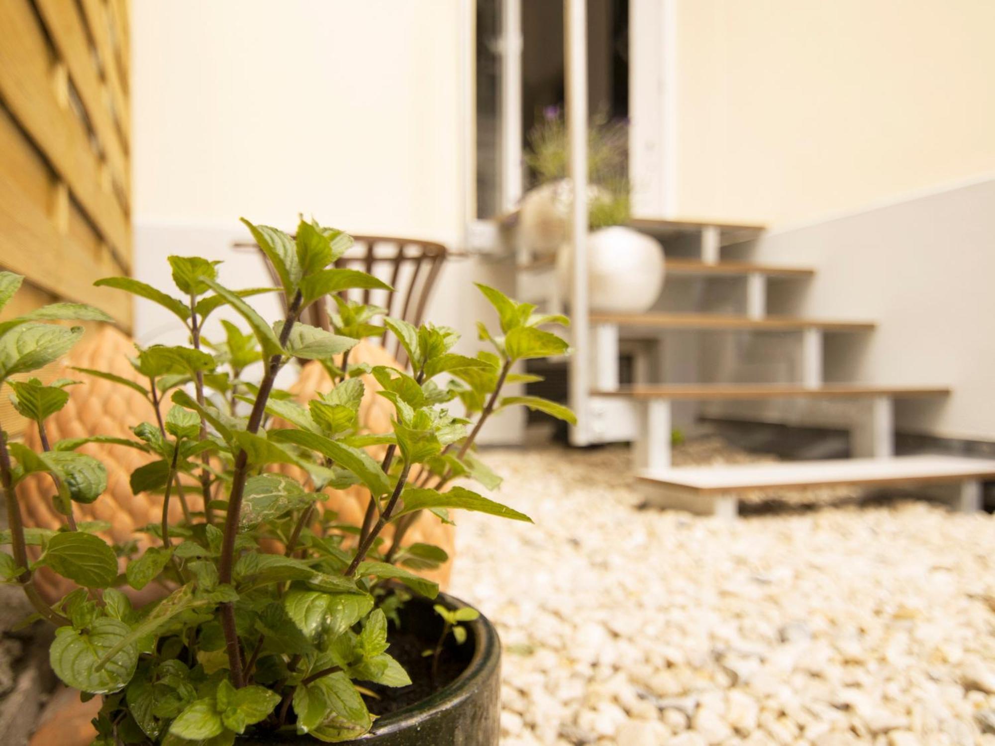 Bauhaus Design-Luxus Apartment, 20Er Jahre Stil, Garten Гера Экстерьер фото
